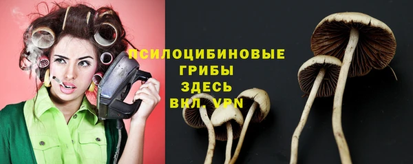прущие крисы Алексеевка